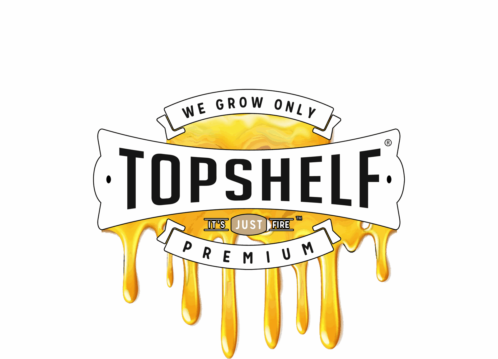 Topshelf logo